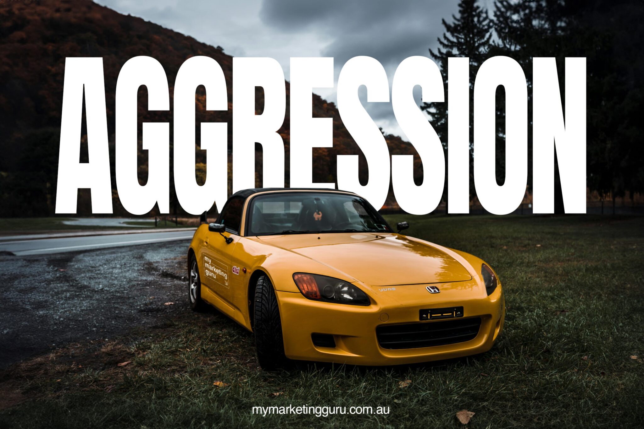 Aggression-min